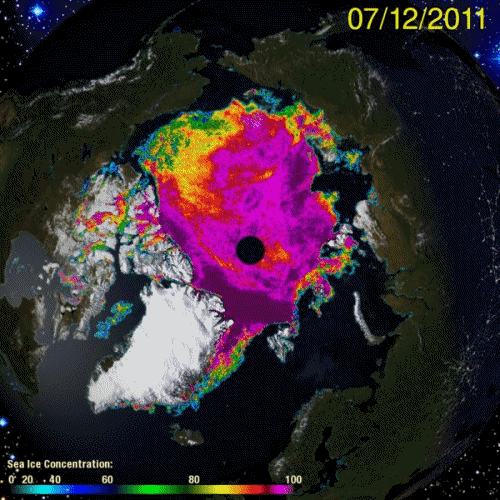 Arctic Ice August 2011 Science 2.0
